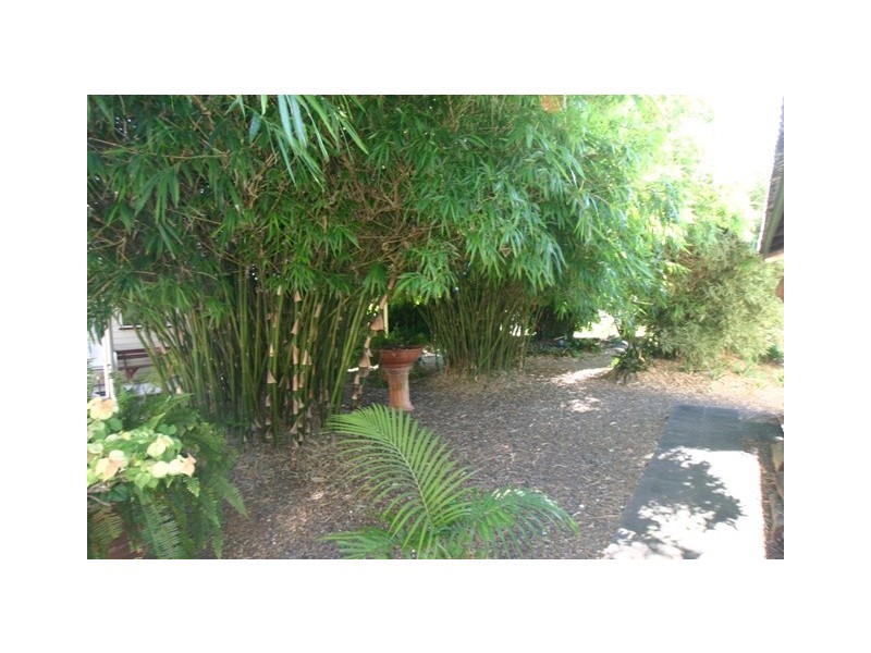 53 Tarakan Street, Svensson Heights QLD 4670