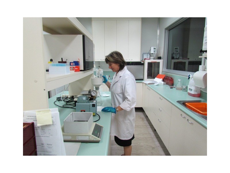 3 Steptoe Street, Bundaberg East QLD 4670