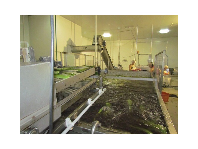 3 Steptoe Street, Bundaberg East QLD 4670