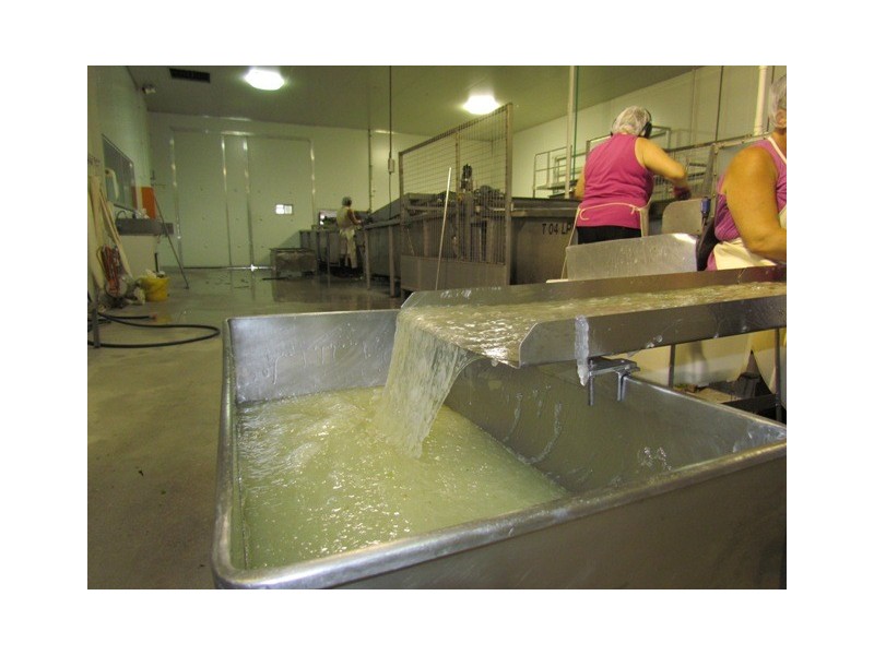 3 Steptoe Street, Bundaberg East QLD 4670