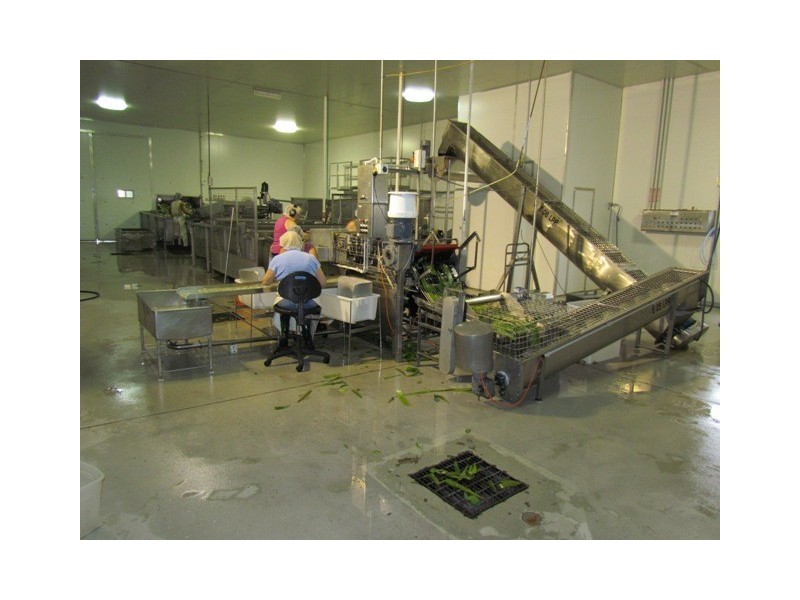 3 Steptoe Street, Bundaberg East QLD 4670