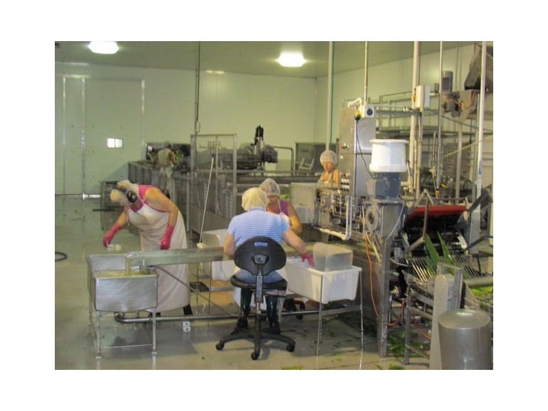 3 Steptoe Street, Bundaberg East QLD 4670