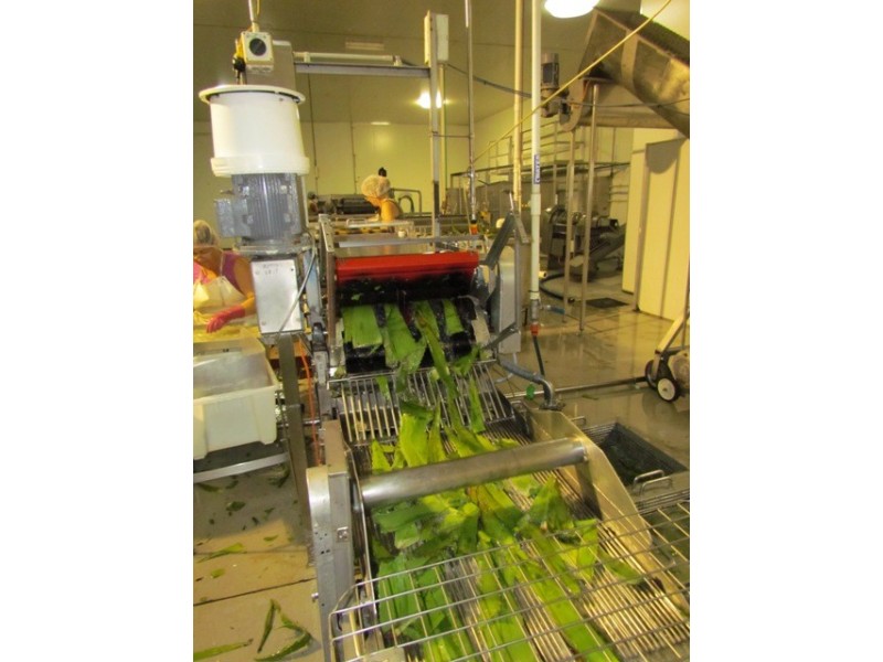 3 Steptoe Street, Bundaberg East QLD 4670