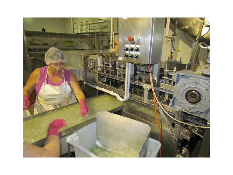 3 Steptoe Street, Bundaberg East QLD 4670