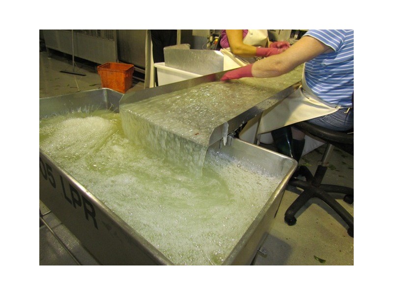 3 Steptoe Street, Bundaberg East QLD 4670