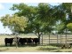 39 Paynes Road, Alloway QLD 4670