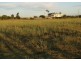 39 Paynes Road, Alloway QLD 4670