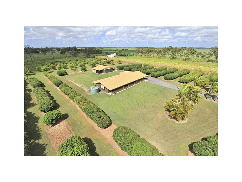 310 Moorlands Road, Moorland QLD 4670
