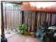4 Deegan Court, Avenell Heights QLD 4670