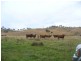 Lot 5,  Strathmore Road, Mount Perry QLD 4671