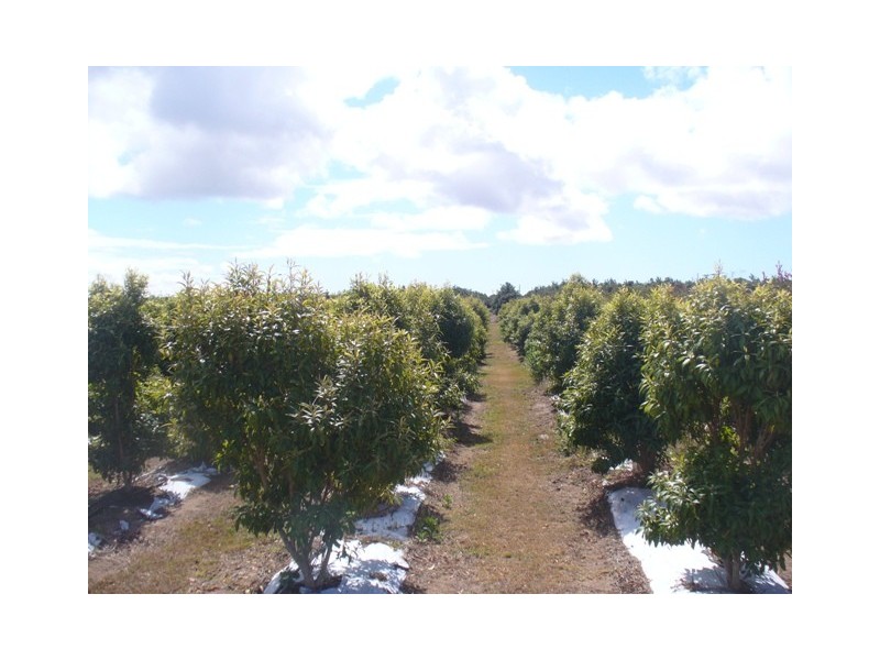 34 Booloongie Road, Gooburrum QLD 4670