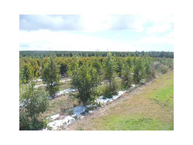 34 Booloongie Road, Gooburrum QLD 4670