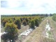 34 Booloongie Road, Gooburrum QLD 4670