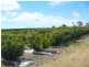 34 Booloongie Road, Gooburrum QLD 4670