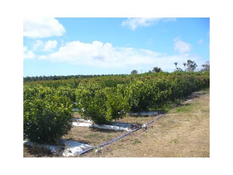 34 Booloongie Road, Gooburrum QLD 4670
