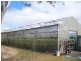 34 Booloongie Road, Gooburrum QLD 4670