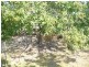 58 George Street, Bundaberg South QLD 4670