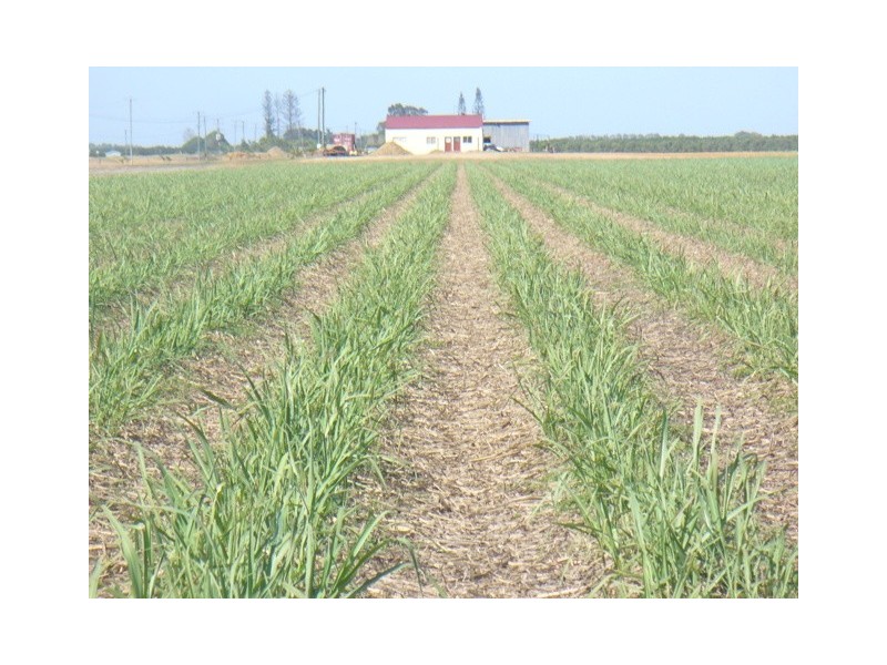 397 Eardleys Road, Welcome Creek QLD 4670