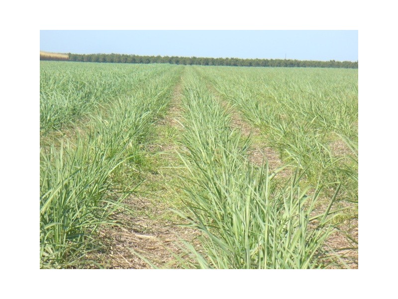 397 Eardleys Road, Welcome Creek QLD 4670