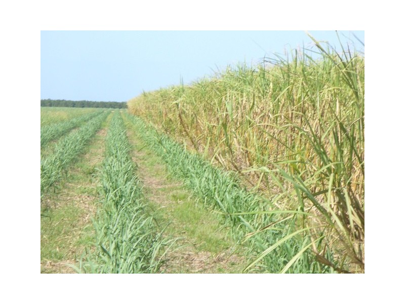 397 Eardleys Road, Welcome Creek QLD 4670