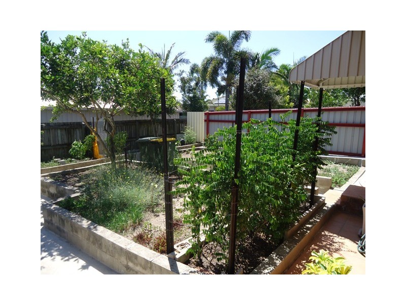 8 Ernies Court, Avoca QLD 4670