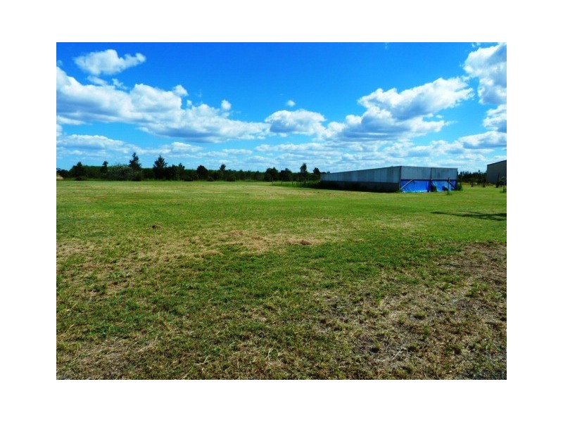 153 Nedwich Road, Alloway QLD 4670