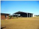 153 Nedwich Road, Alloway QLD 4670
