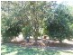 40 Palms Springs Drive, Calavos QLD 4670