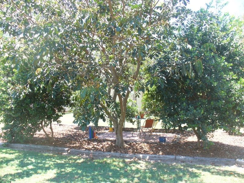 40 Palms Springs Drive, Calavos QLD 4670