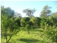 Lot 130,  Mollenhagens, Winfield QLD 4670
