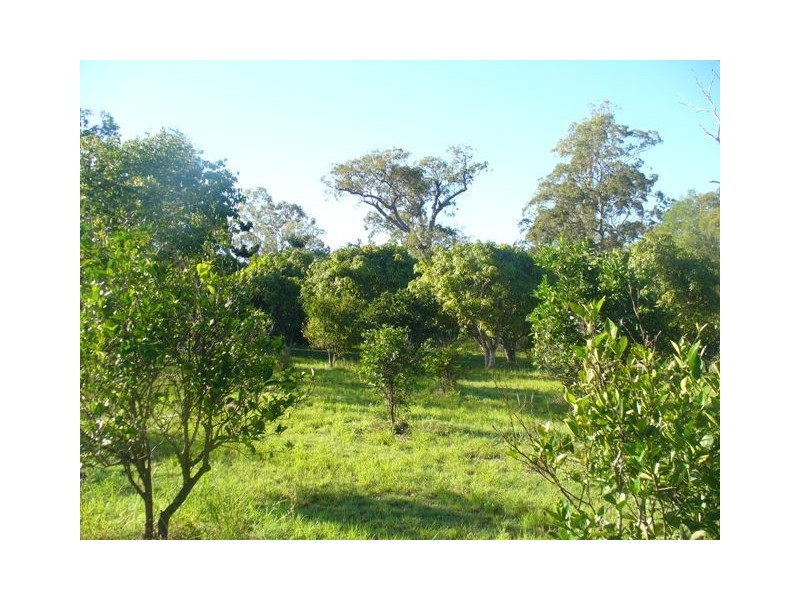 Lot 130,  Mollenhagens, Winfield QLD 4670