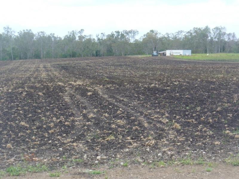Berrembea Road, Wallaville QLD 4671