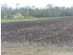 Berrembea Road, Wallaville QLD 4671