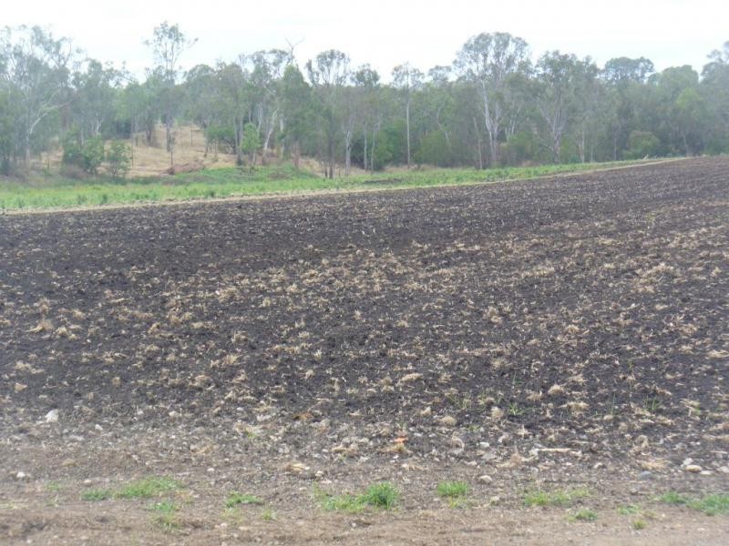 Berrembea Road, Wallaville QLD 4671