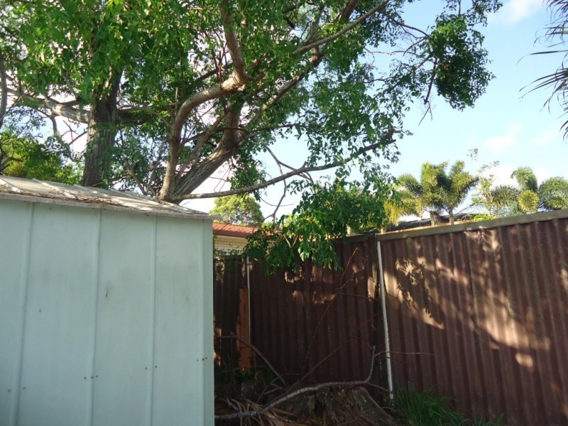 4 Pangola Street, Winfield QLD 4670