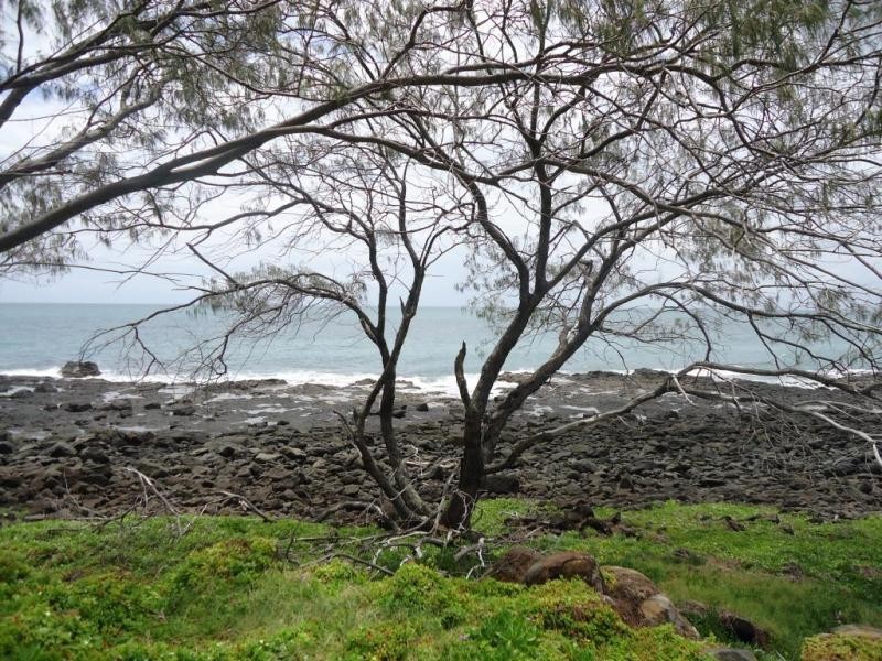 215 Woongarra Scenic Drive, Bargara QLD 4670