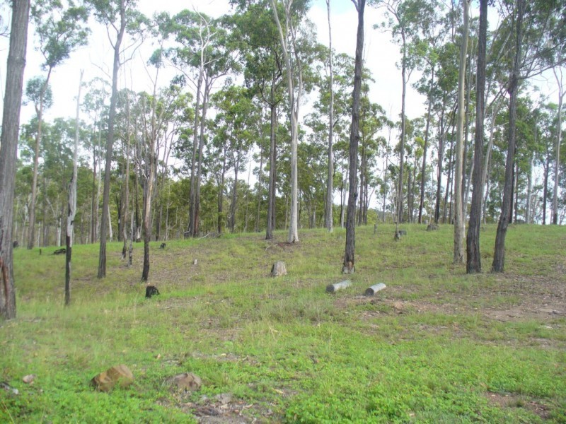 1099 Monduran Road, Waterloo QLD 4673