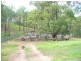 1099 Monduran Road, Waterloo QLD 4673