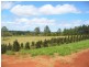 22 Rainbows Road, South Isis QLD 4660