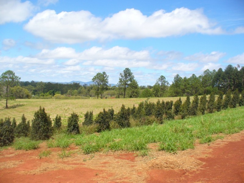 22 Rainbows Road, South Isis QLD 4660