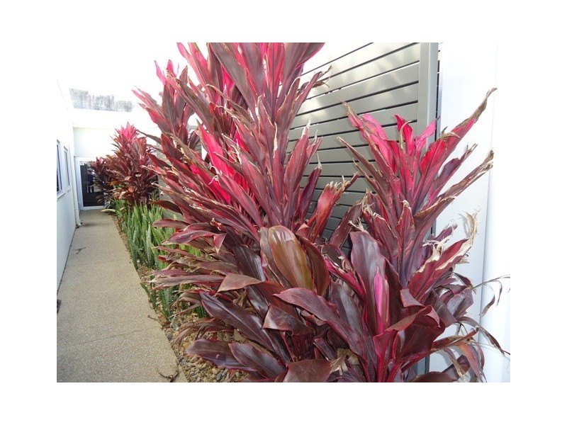 Lot 2, 115 George Street, Bundaberg Central QLD 4670