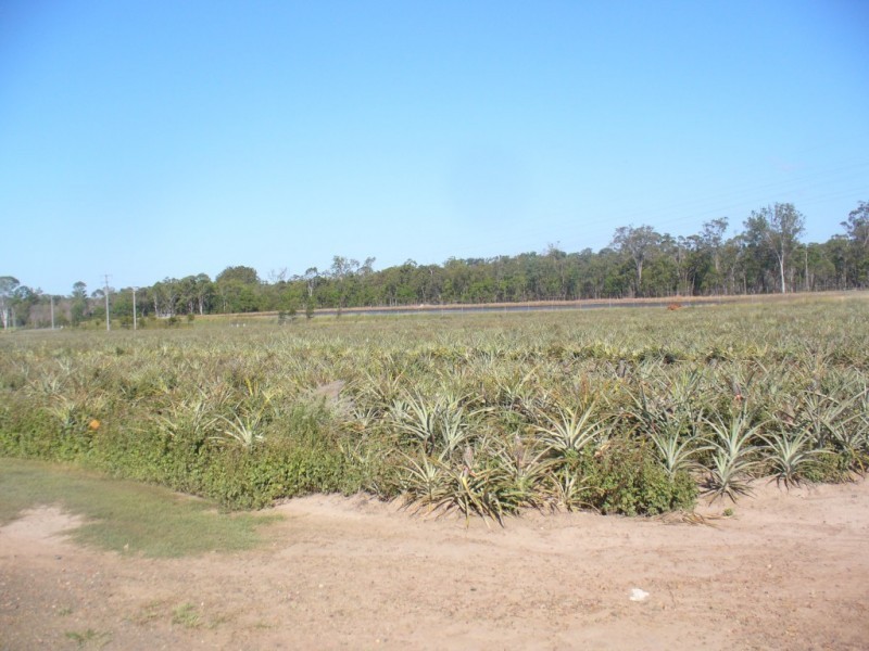 39 McLeods Road, Bullyard QLD 4671