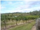 86 Simpsons Road, Bullyard QLD 4671