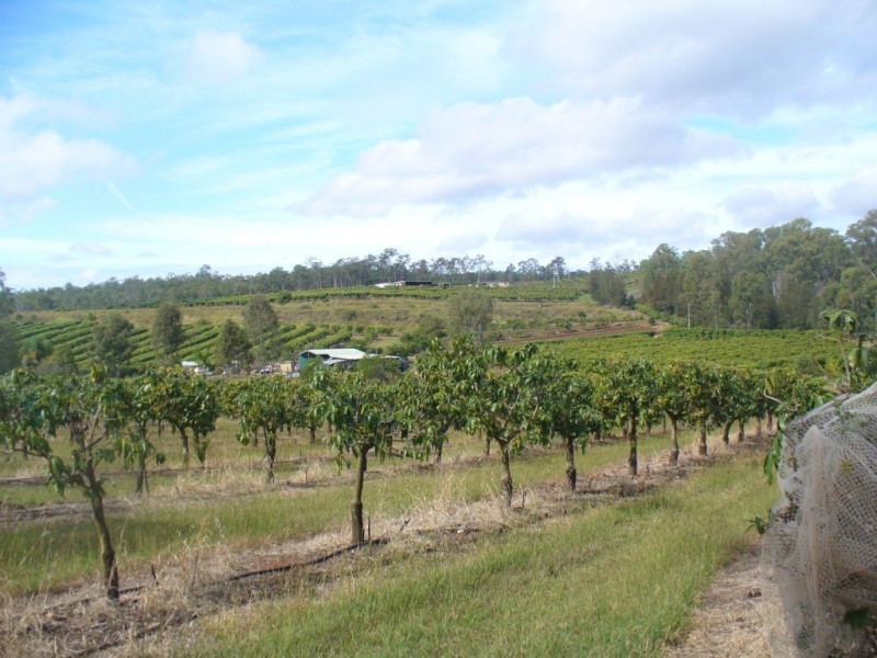 86 Simpsons Road, Bullyard QLD 4671