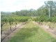 86 Simpsons Road, Bullyard QLD 4671