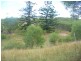 342 Bungadoo Road, Bungadoo QLD 4671