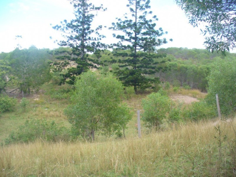 342 Bungadoo Road, Bungadoo QLD 4671
