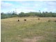 342 Bungadoo Road, Bungadoo QLD 4671
