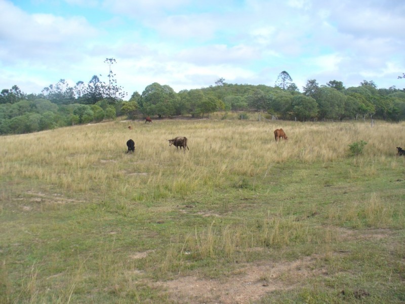 342 Bungadoo Road, Bungadoo QLD 4671