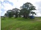 1381 Rosedale Road, Bucca QLD 4670
